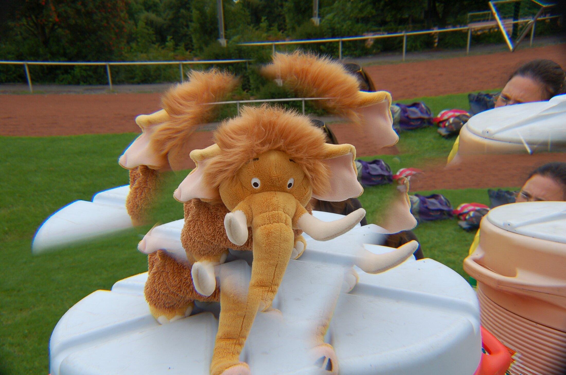 20060819 DSC 0008