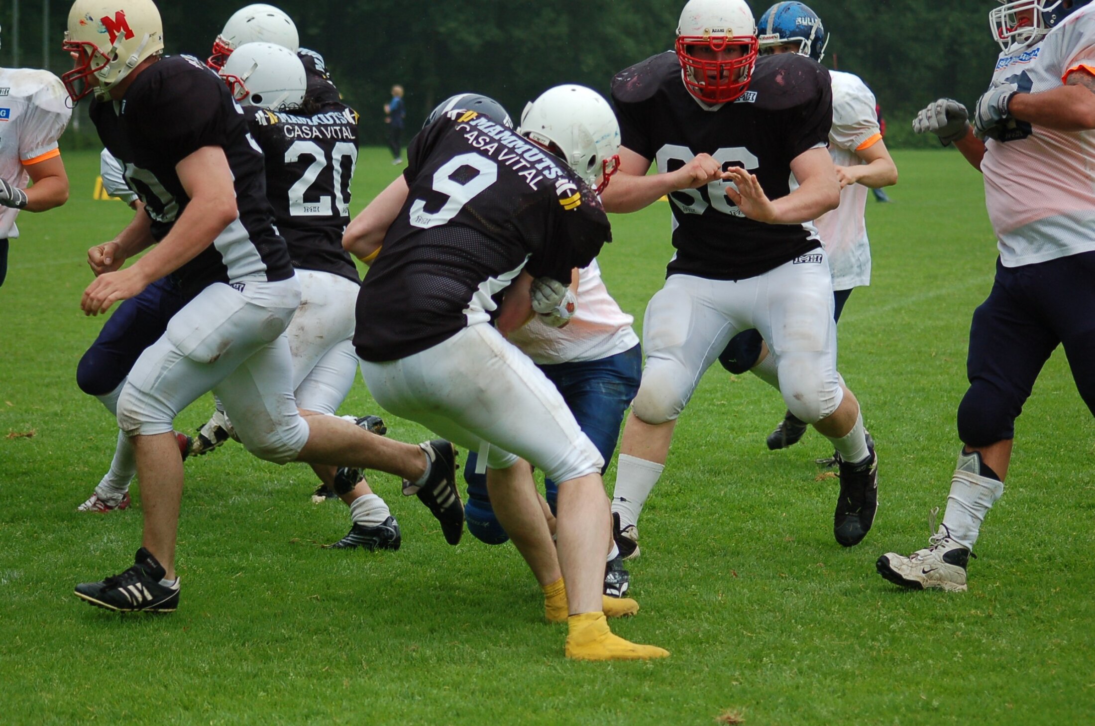 20070527 DSC 0208