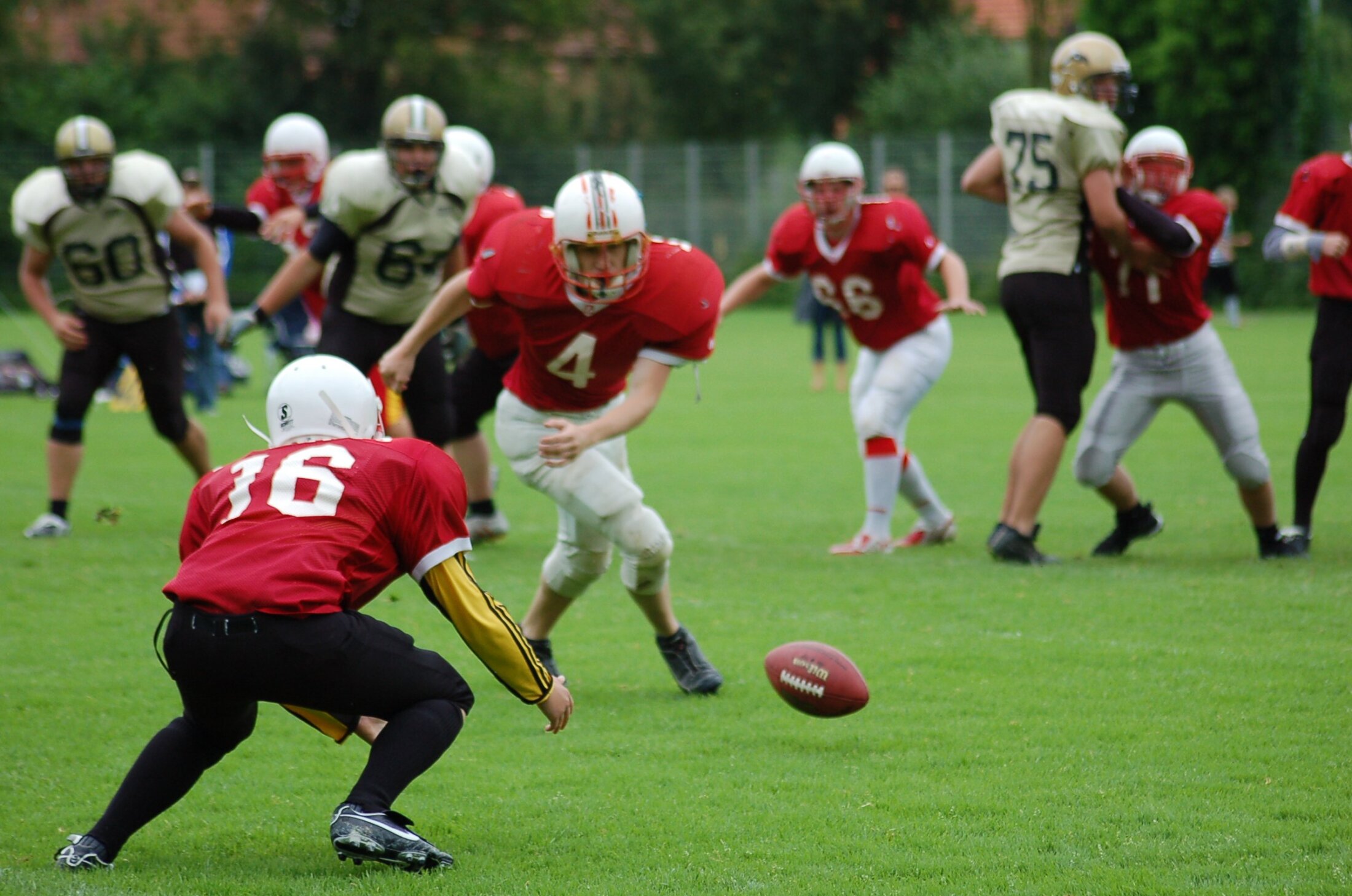 20070617 DSC 0008