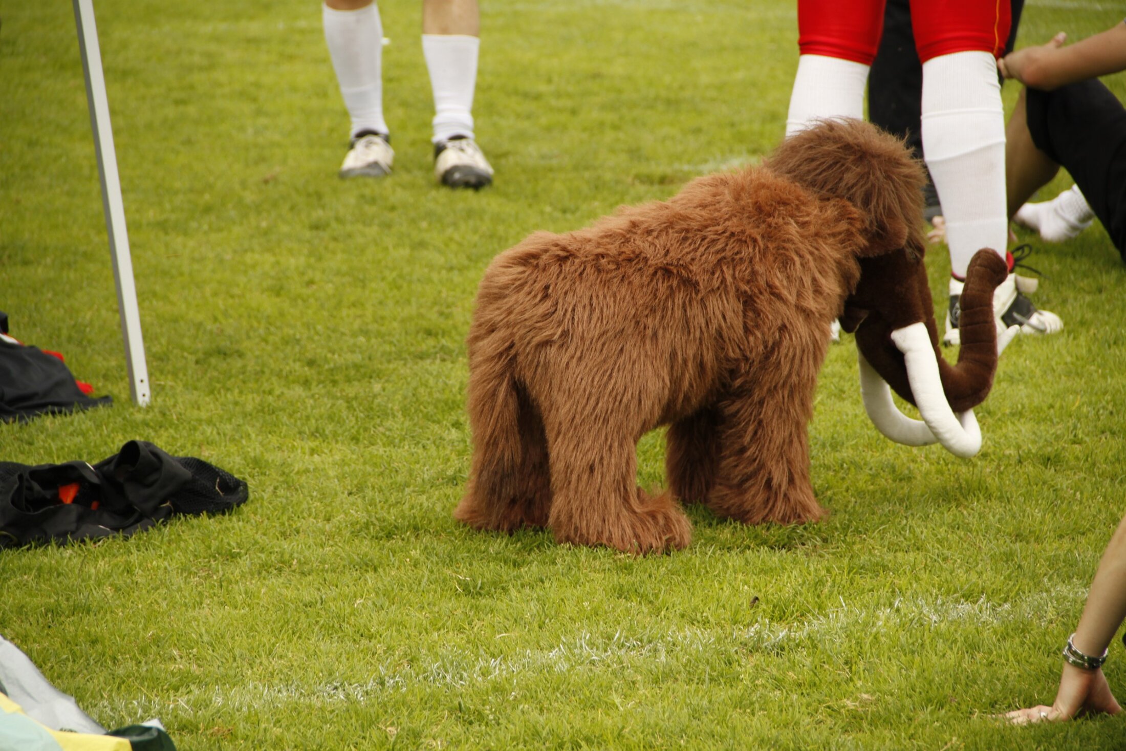 20110529 MG 1155