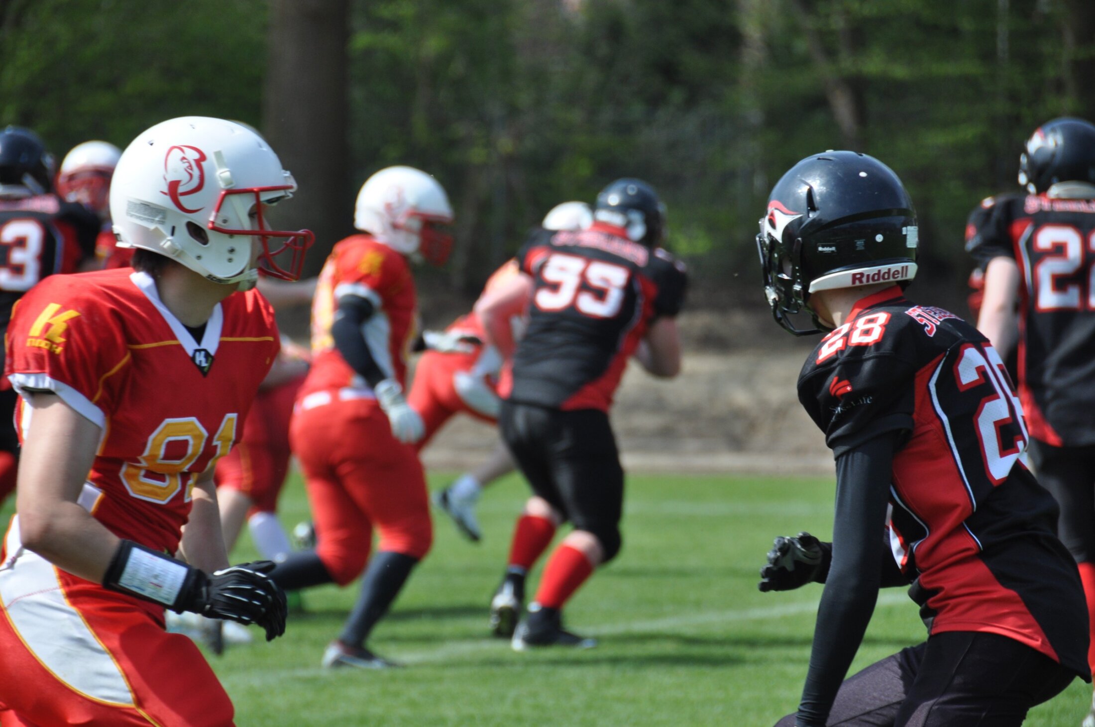 20150419 DSC 2641