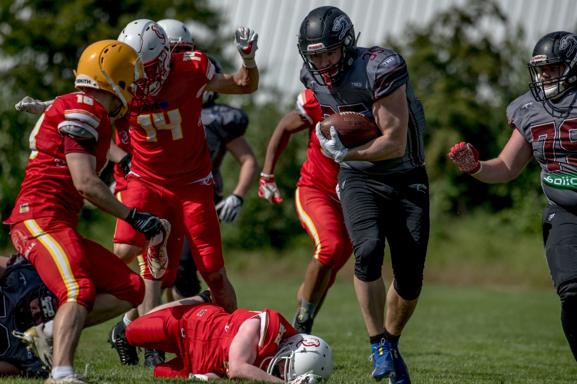 20220522-_DSC1192.TW