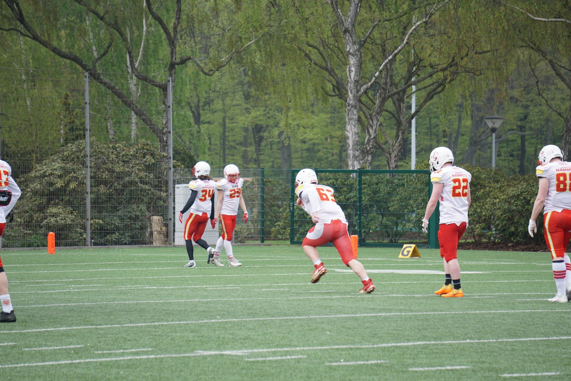 20230429 DSC05131