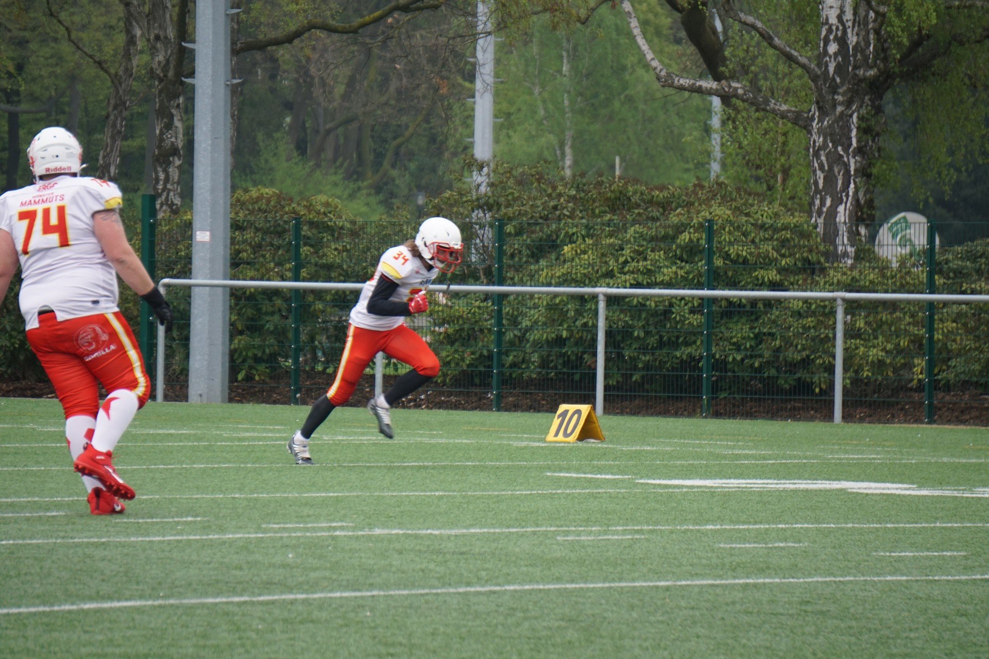 20230429 DSC05134