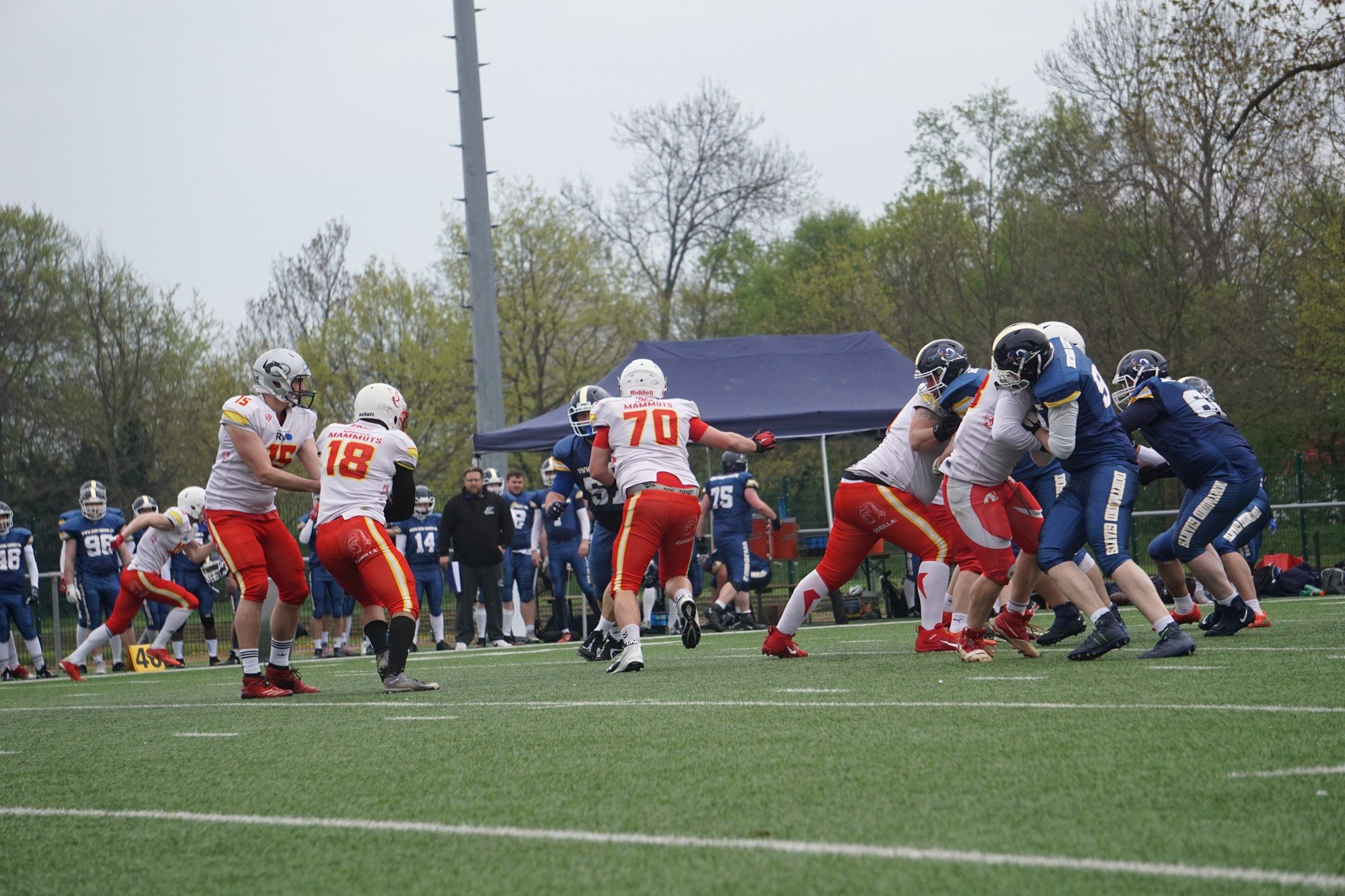 20230429 DSC05211