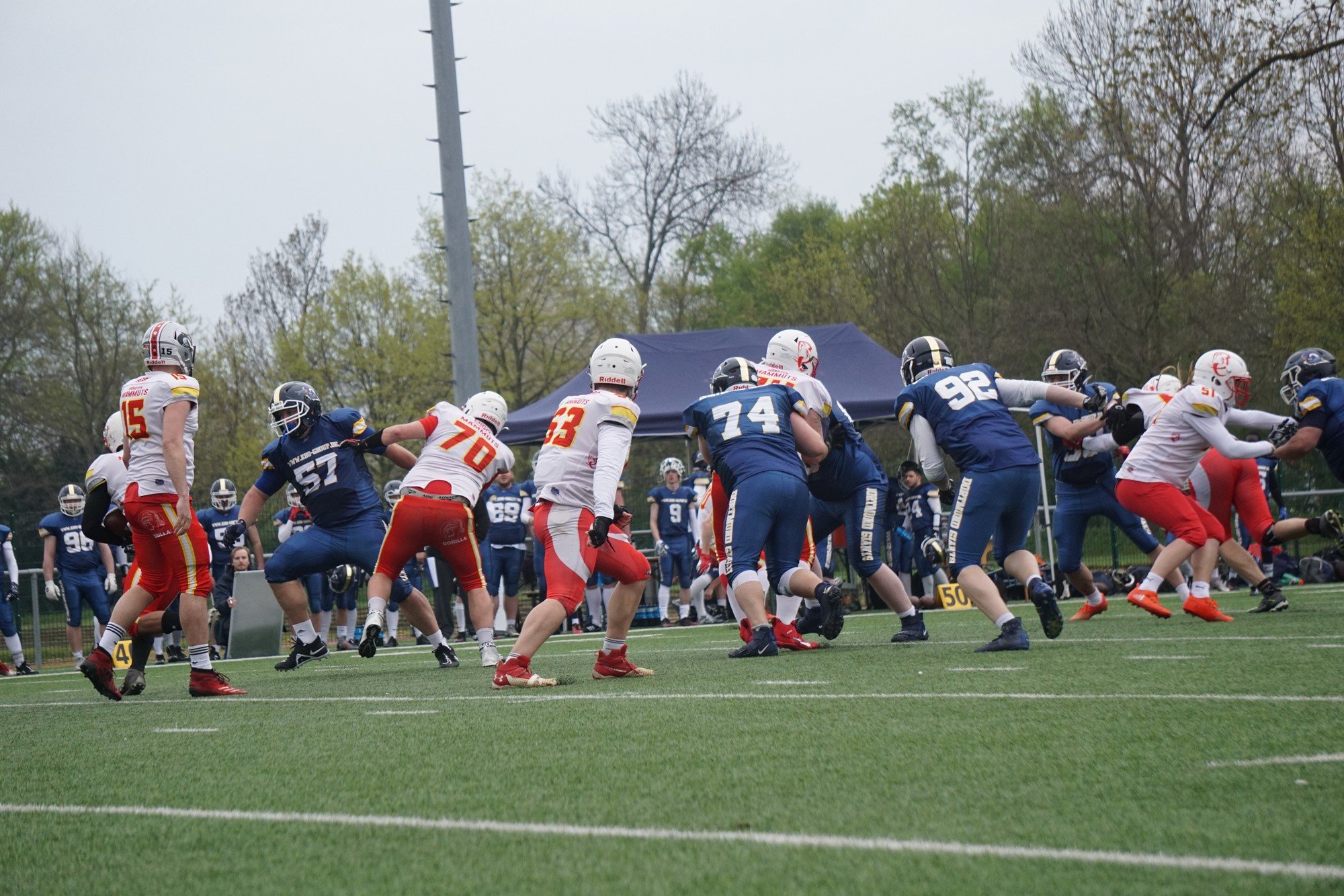 20230429 DSC05213
