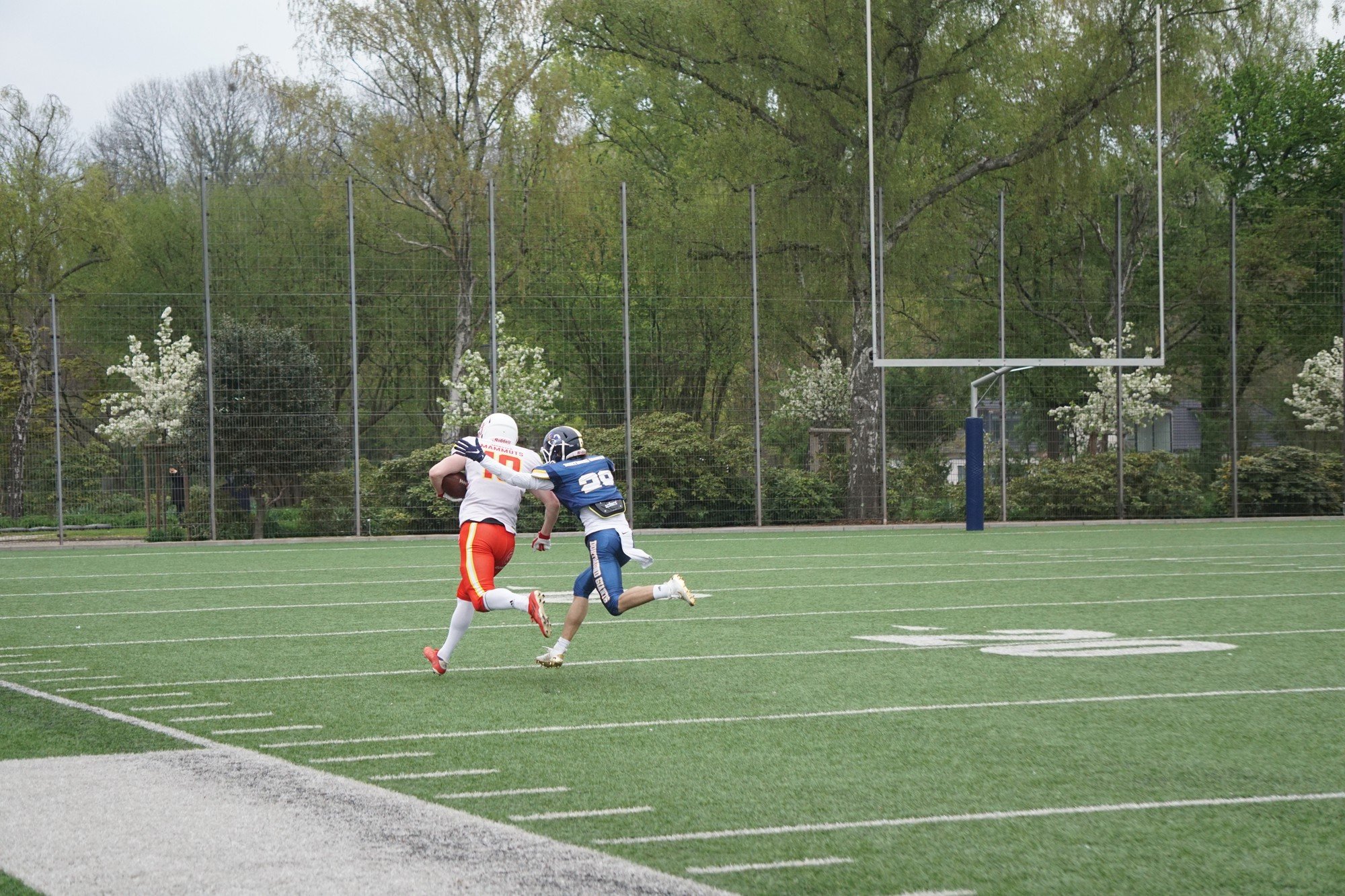 20230429 DSC05428