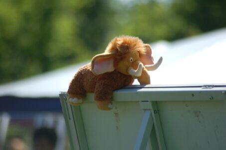 20060611 DSC 0068